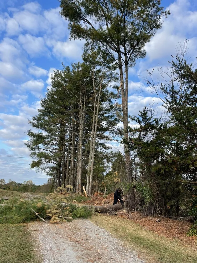 Custom lawn care service for year-round maintenance across Cowpens, SC - Wards solutions