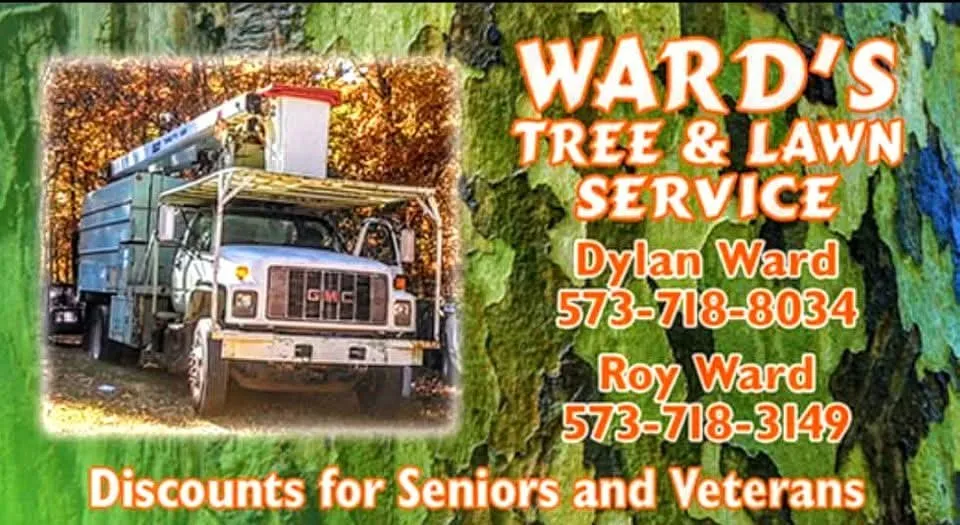 Trusted lawn mowing service for homes in Wappapello, MO by Ward's Tree and Lawn Service