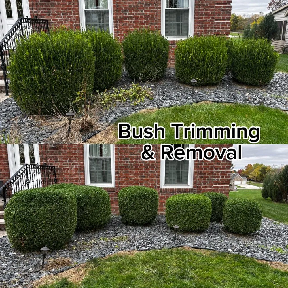 Professional yard cleanup service for beautiful yards in Wapakoneta, OH by Wares Home Services