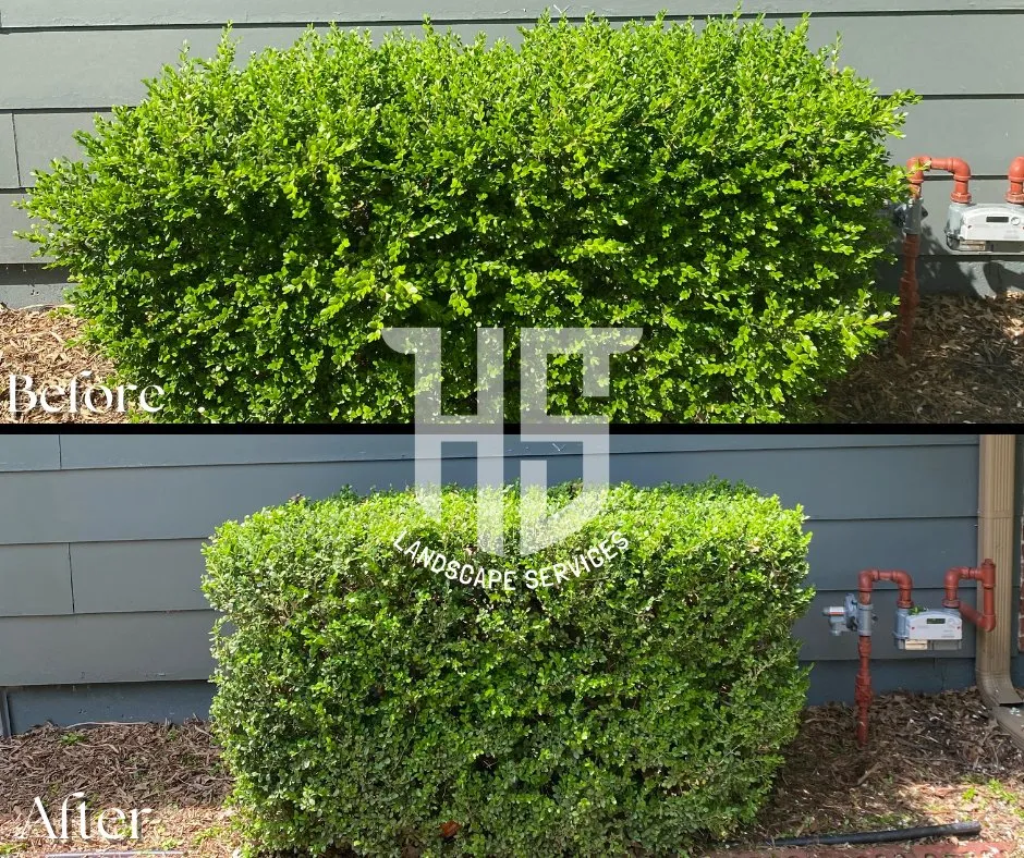 Top-rated yard cleanup service in Adrian, MO - Warhog Land Services