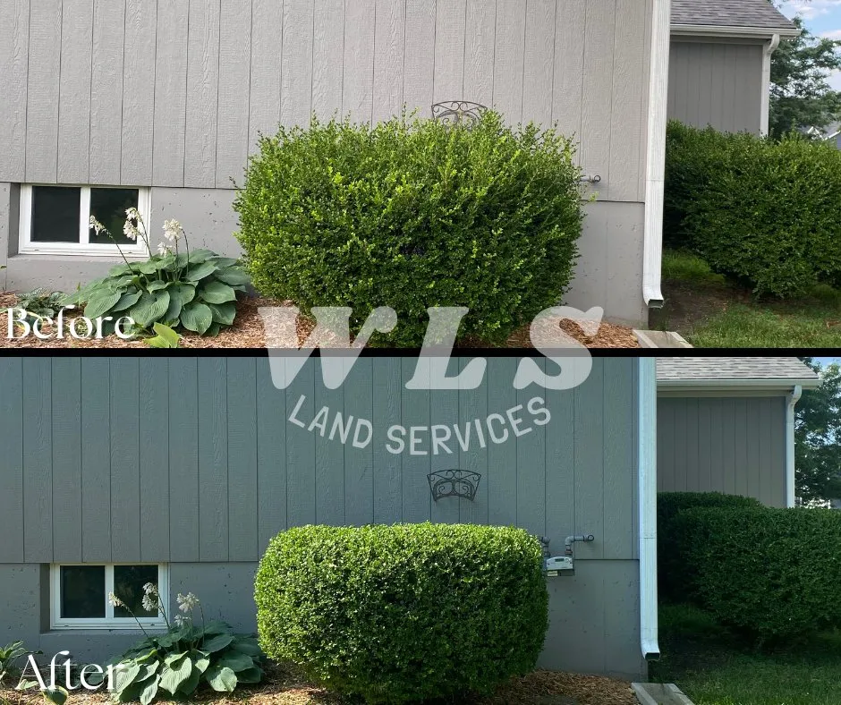 Professional landscape design for homes in Adrian, MO by Warhog Land Services