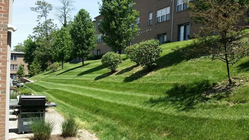 Local landscape installation in Cincinnati, OH - Warhouse Worx