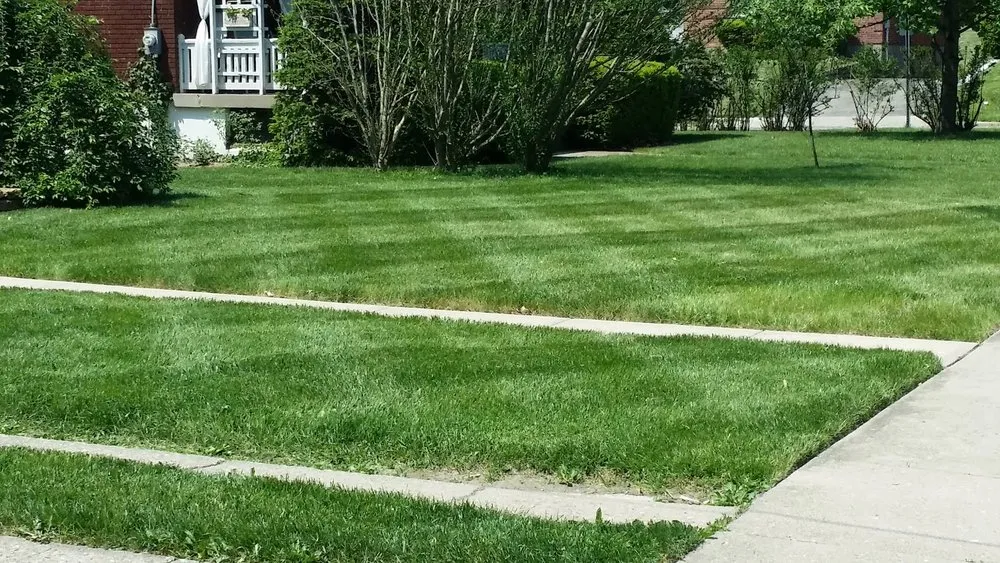 Reliable landscape design for residential properties in Cincinnati, OH by Warhouse Worx