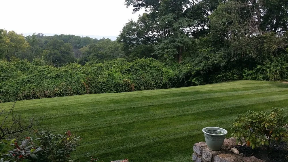 Top-rated yard cleanup service in Cincinnati, OH - Warhouse Worx