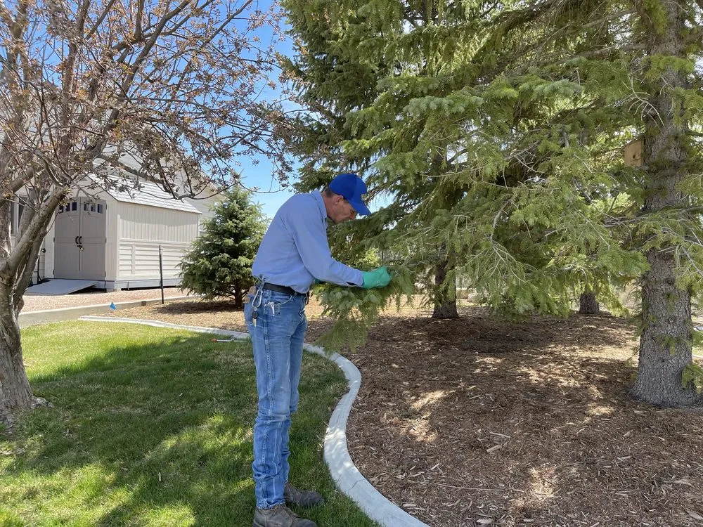 Trusted landscape installation experts serving Rapid City, SD - Warne Green Force