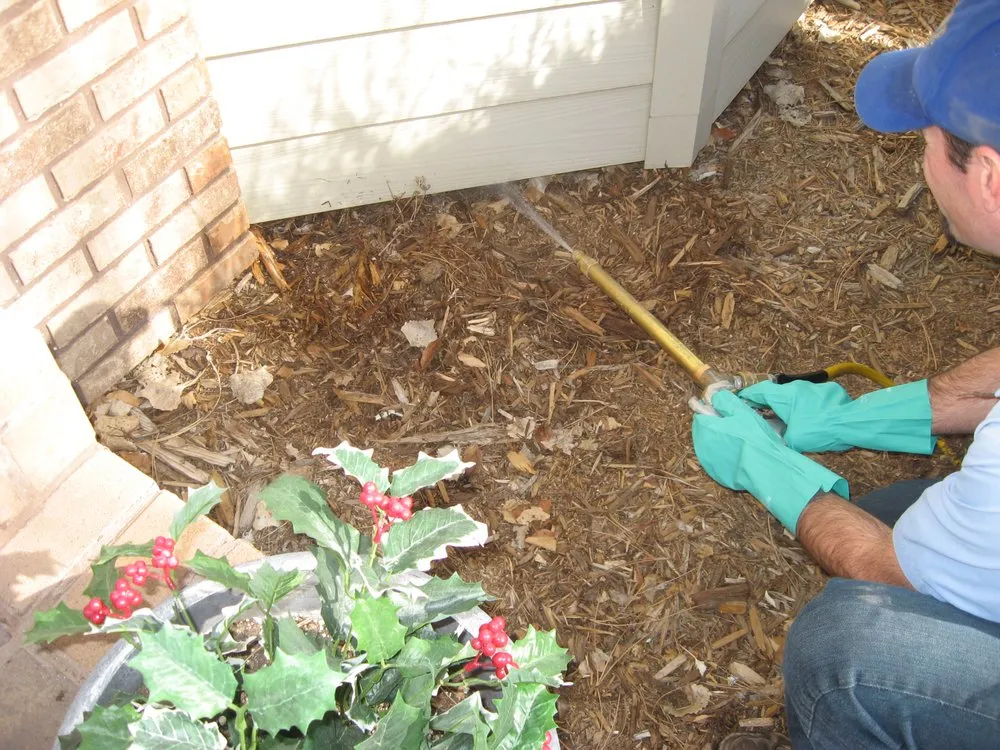 Affordable yard cleanup service experts serving Rapid City, SD - Warne Green Force