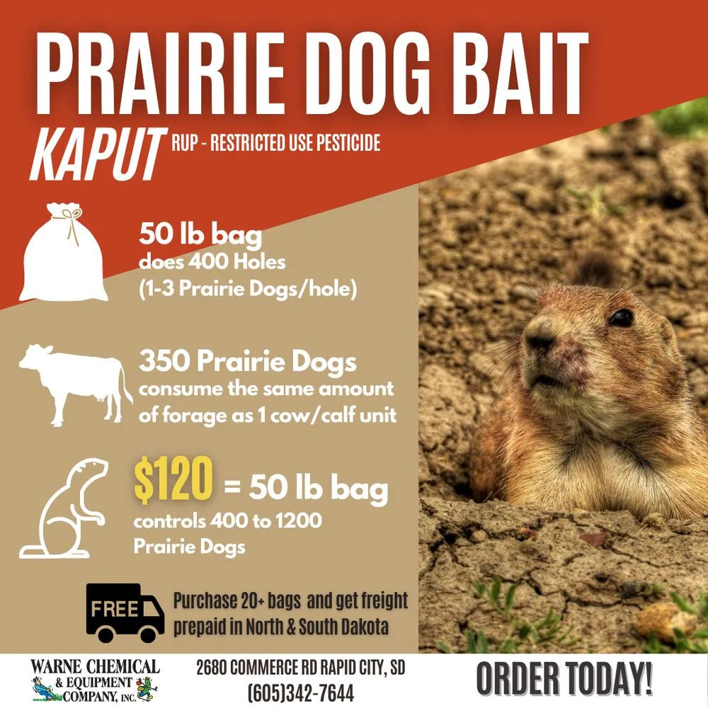 Custom landscaping services for year-round maintenance in Rapid City, SD by Warne Green Force