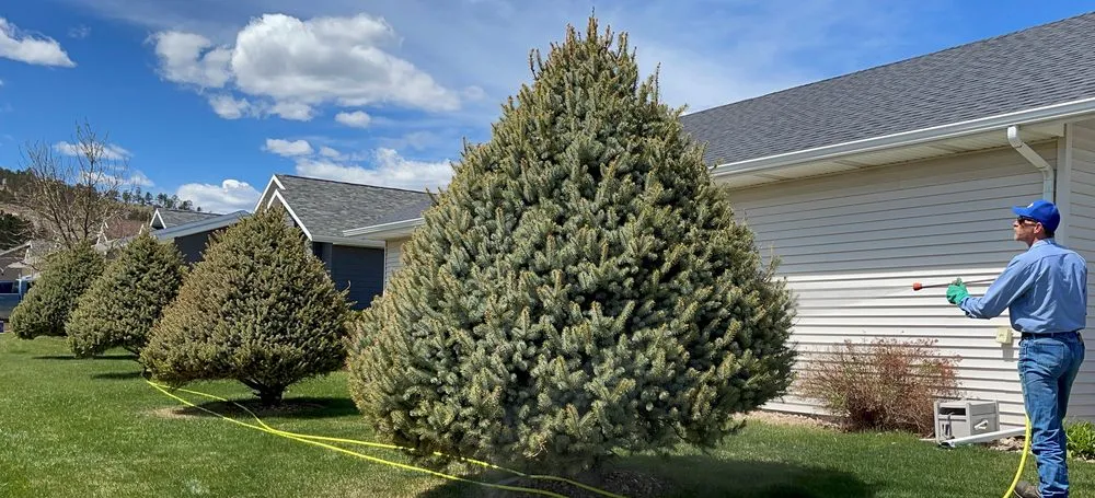 Custom landscape design in Rapid City, SD by Warne Green Force