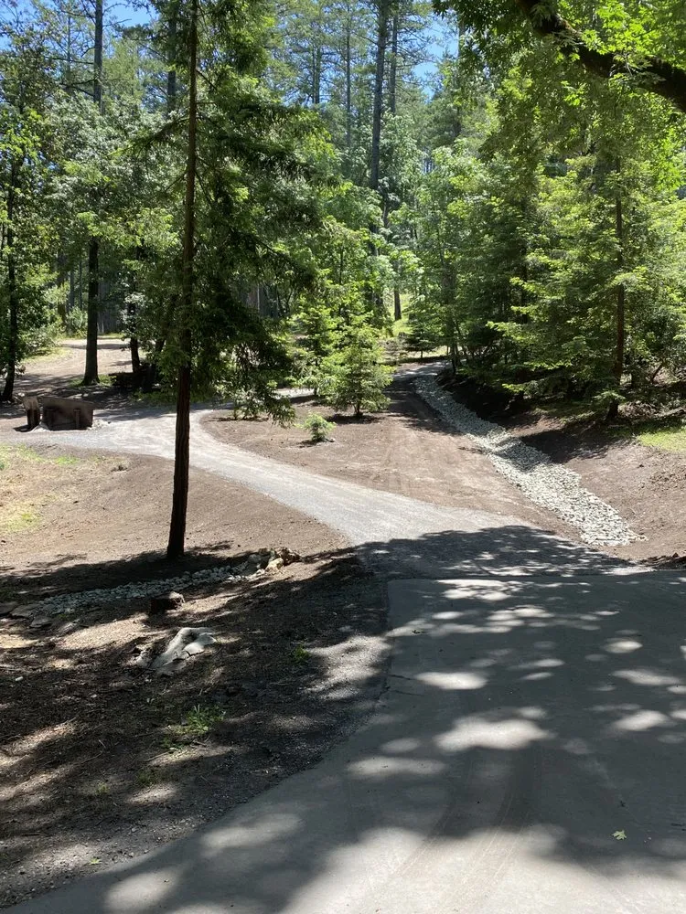 Top-rated yard cleanup service experts serving Santa Rosa, CA - Warner Landscape Construction