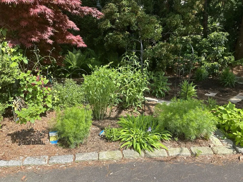 Trusted landscape installation experts serving Simsbury, CT - Warner Nursery & Garden Center