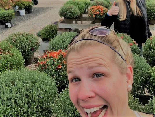 Affordable yard cleanup service experts serving Simsbury, CT - Warner Nursery & Garden Center