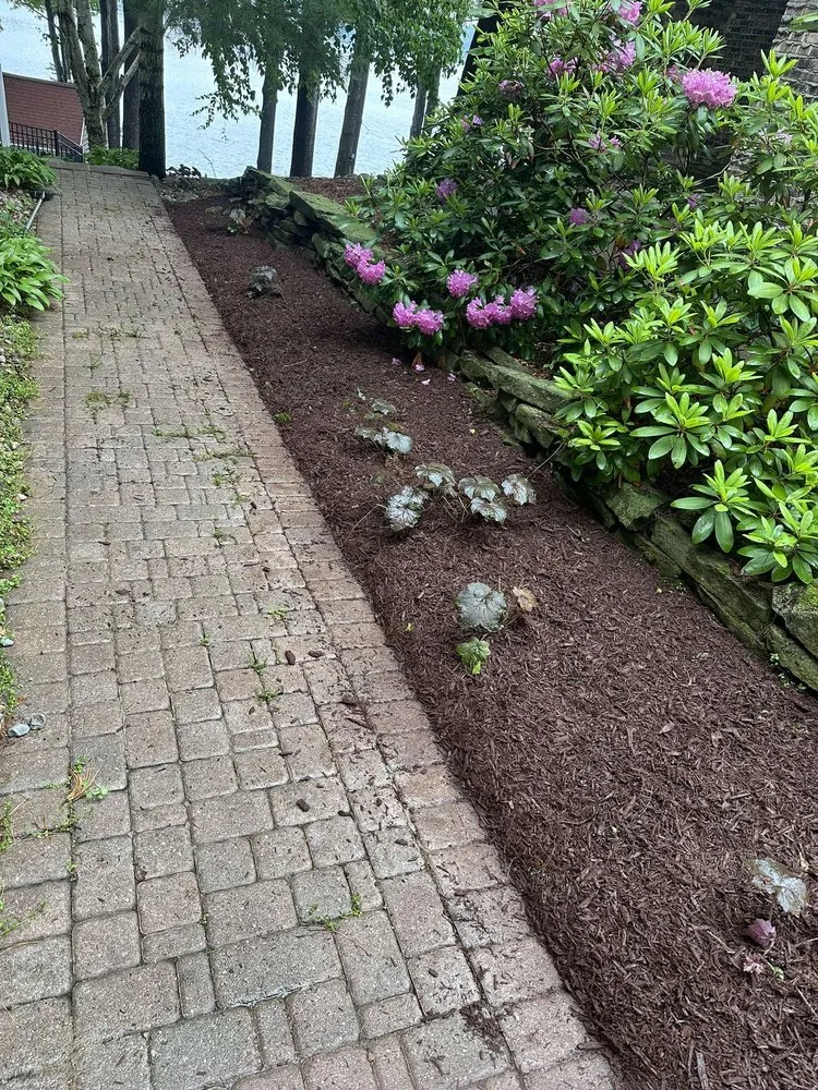 Top-rated lawn mowing service in Jackson, MI by Warner Projects