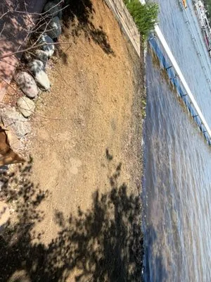 Warner Projects Logo