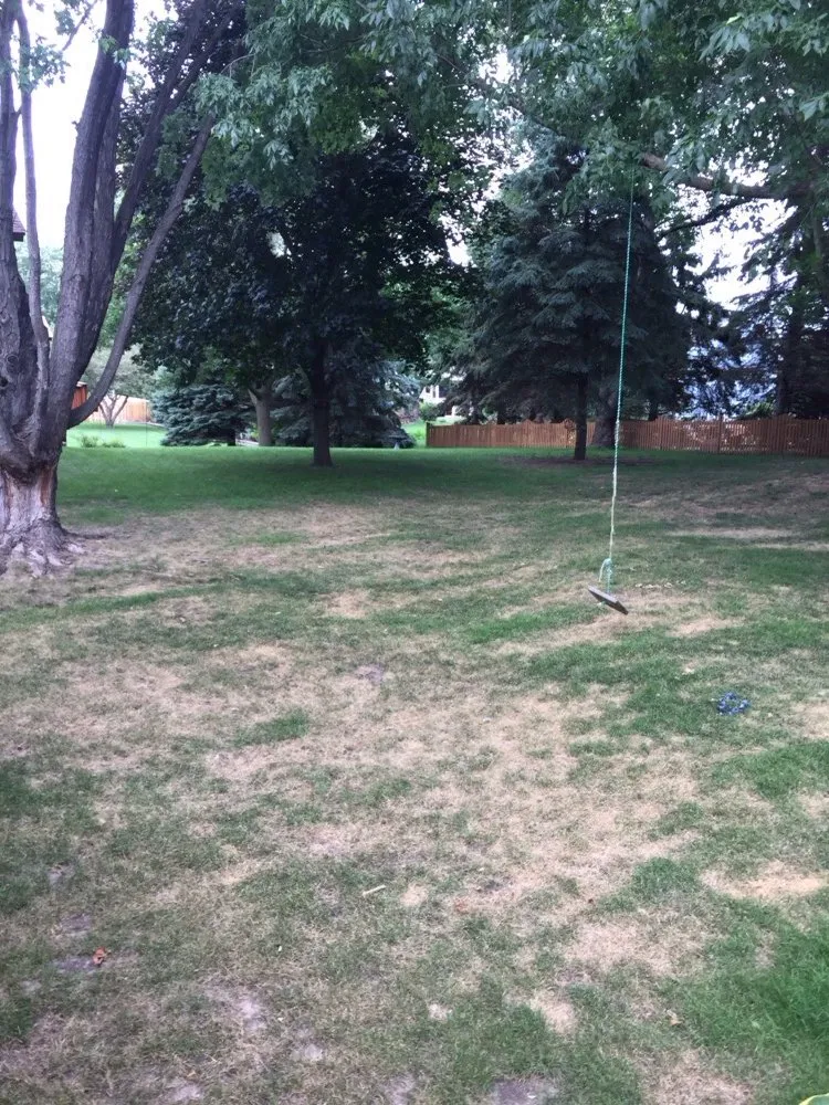 Reliable landscape installation with custom design in Saint Paul, MN by Warner's Lawn Care