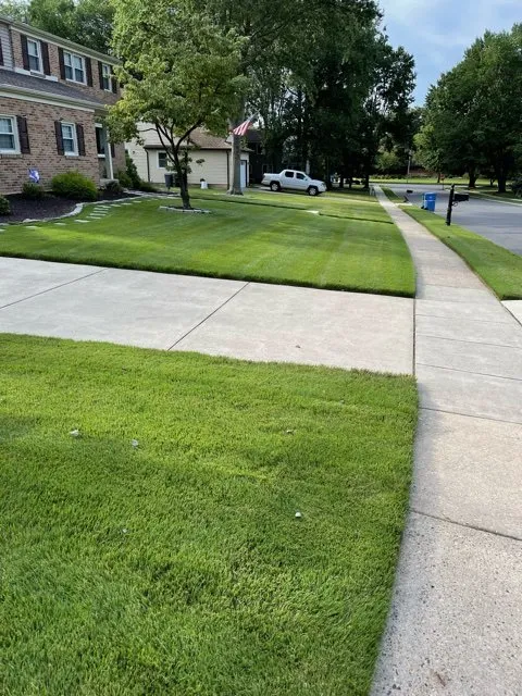 Top-rated landscaping services for year-round maintenance in Woodbury, NJ by Warner's Lawn Care