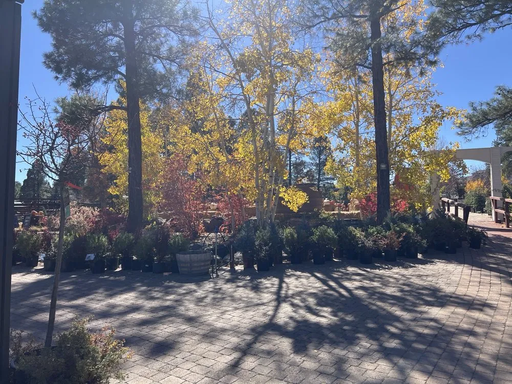 Expert landscape design in Flagstaff, AZ - Warner's Nursery & Landscape