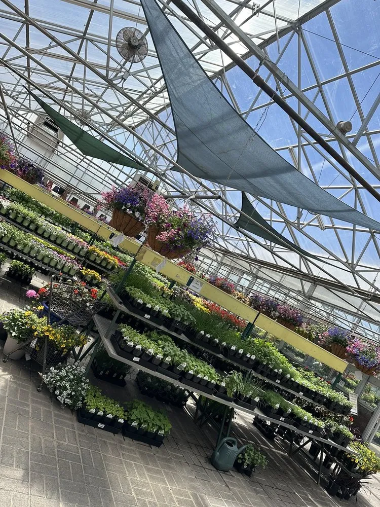 Trusted landscape design in Flagstaff, AZ - Warner's Nursery & Landscape