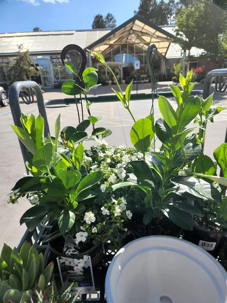 Reliable outdoor landscaping experts serving Flagstaff, AZ - Warner's Nursery & Landscape