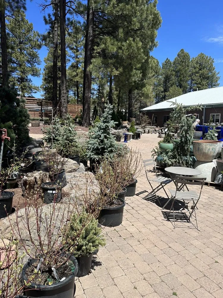Expert residential landscaping in Flagstaff, AZ by Warner's Nursery & Landscape