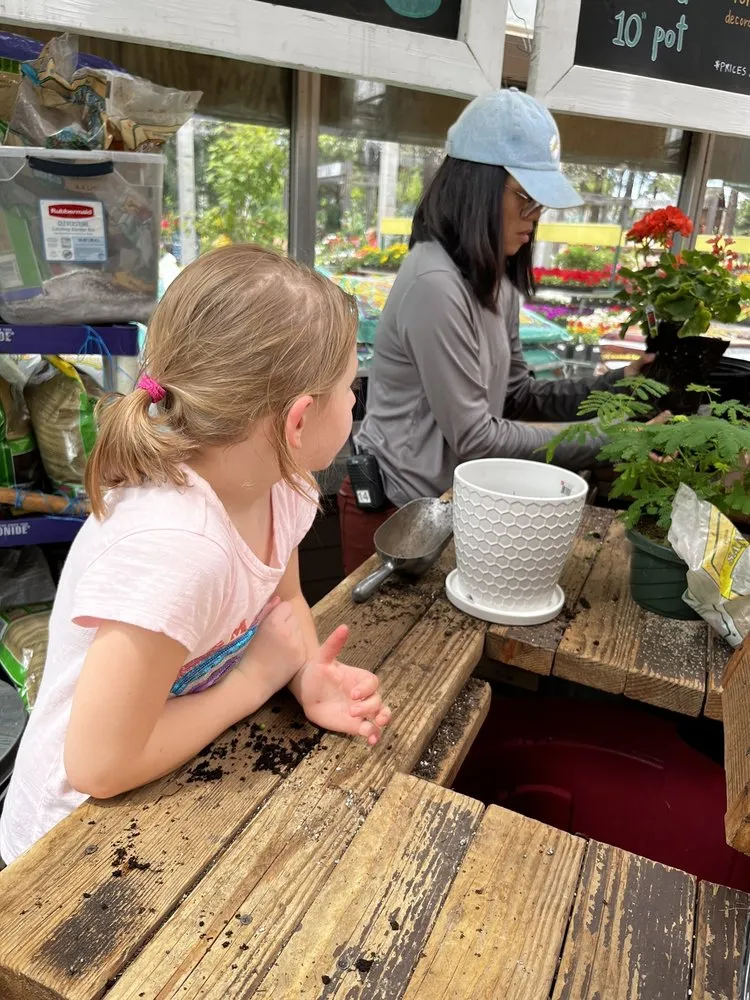 Affordable residential landscaping for outdoor upgrades in Flagstaff, AZ by Warner's Nursery & Landscape