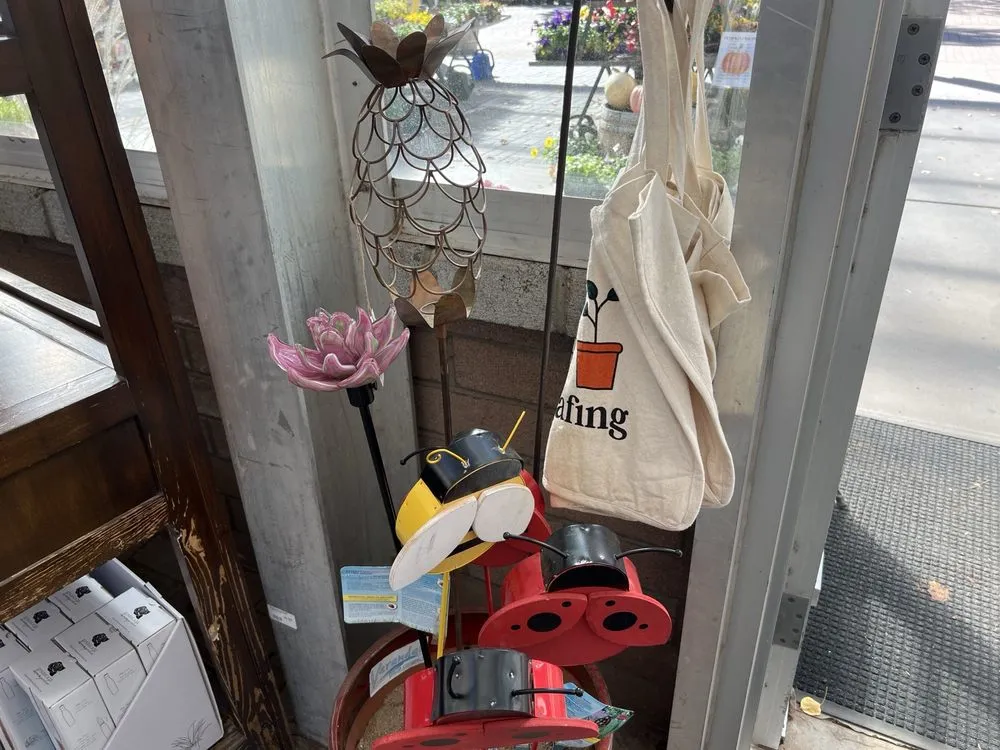 Professional landscape design for outdoor upgrades across Flagstaff, AZ - Warner's Nursery & Landscape