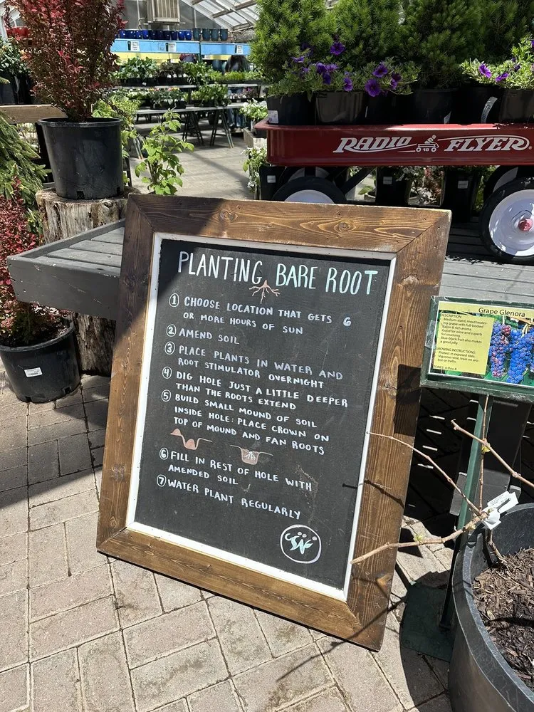 Reliable landscape design experts serving Flagstaff, AZ - Warner's Nursery & Landscape