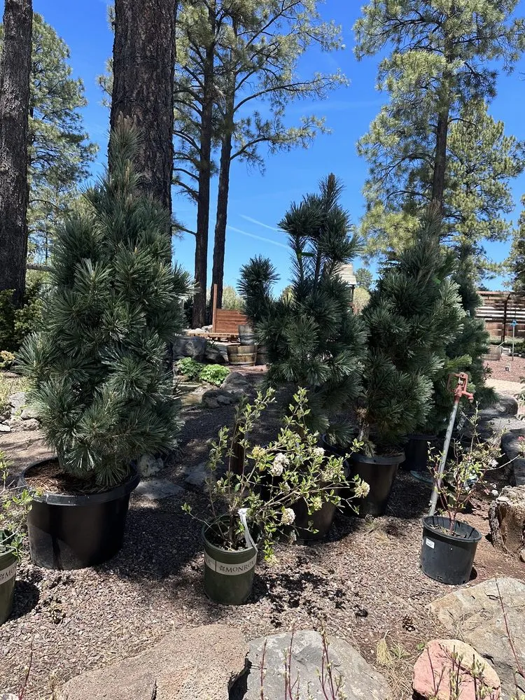 Local landscaping services near you across Flagstaff, AZ - Warner's Nursery & Landscape