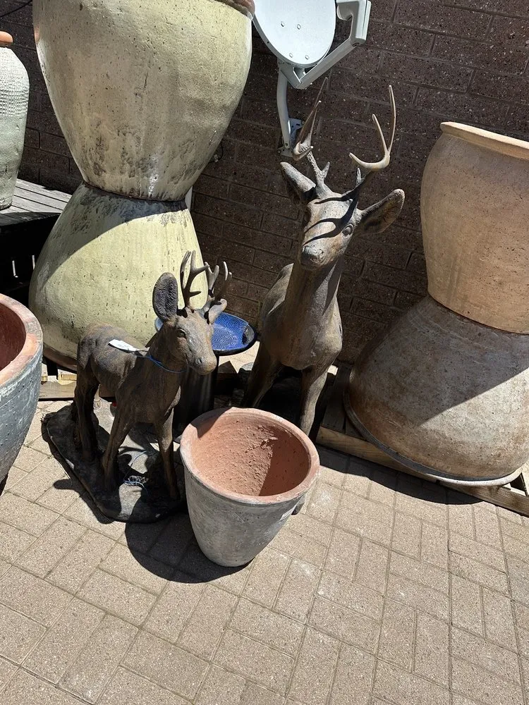 Professional lawn mowing service for year-round maintenance in Flagstaff, AZ by Warner's Nursery & Landscape