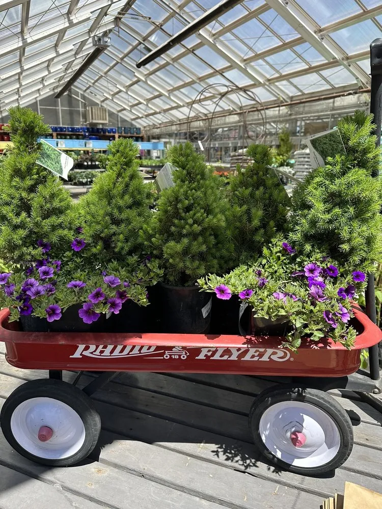 Trusted yard cleanup service for beautiful yards across Flagstaff, AZ - Warner's Nursery & Landscape