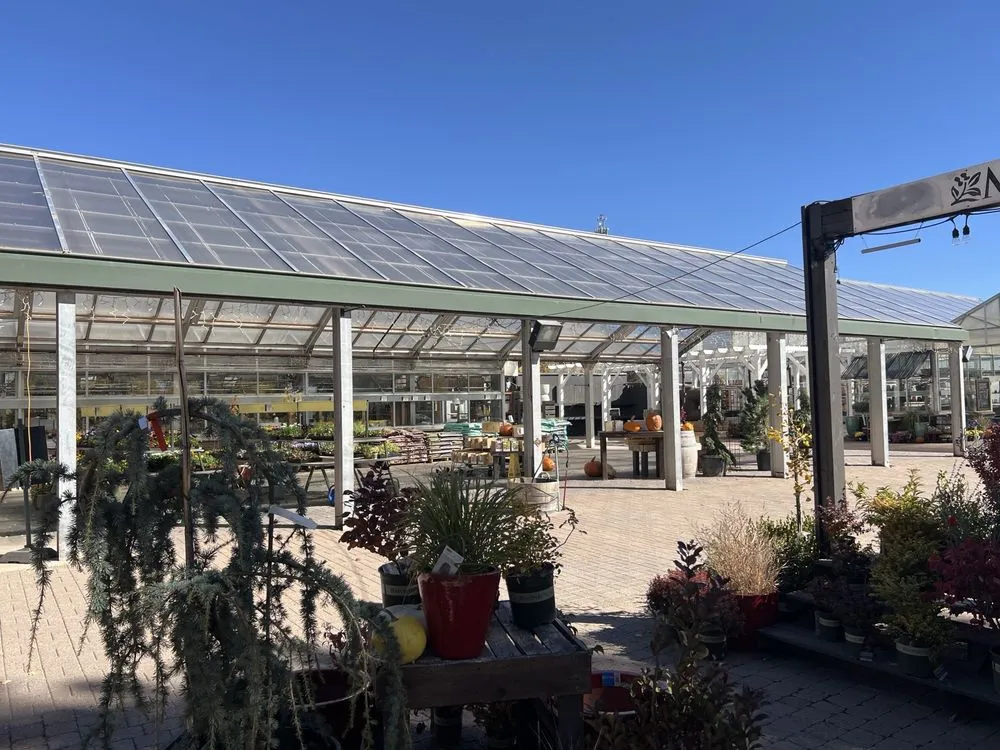 Trusted landscape design in Flagstaff, AZ - Warner's Nursery & Landscape