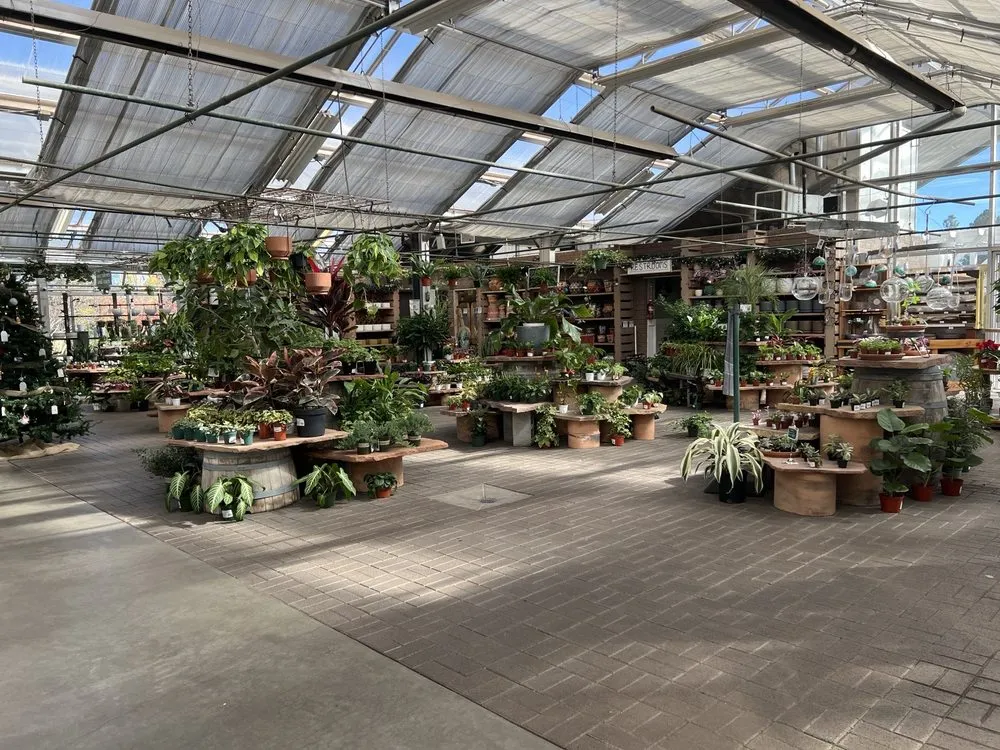 Top-rated landscaping services near you across Flagstaff, AZ - Warner's Nursery & Landscape