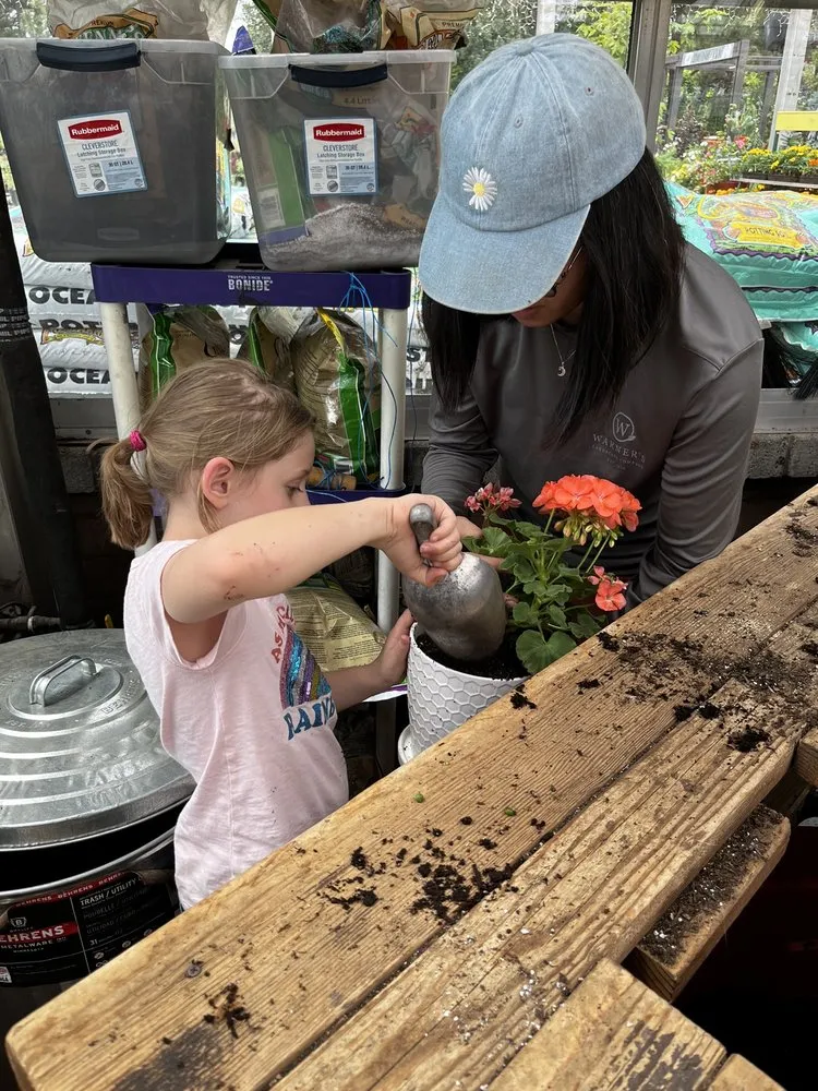 Custom yard maintenance for year-round maintenance across Flagstaff, AZ - Warner's Nursery & Landscape