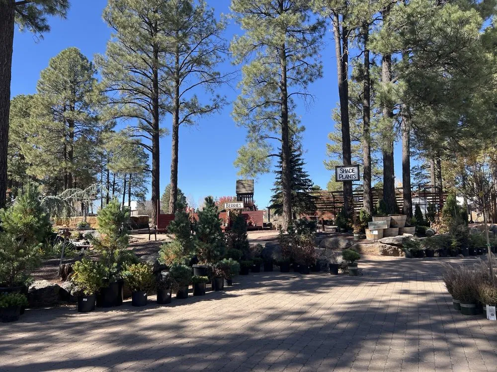 Professional lawn care service near you across Flagstaff, AZ - Warner's Nursery & Landscape