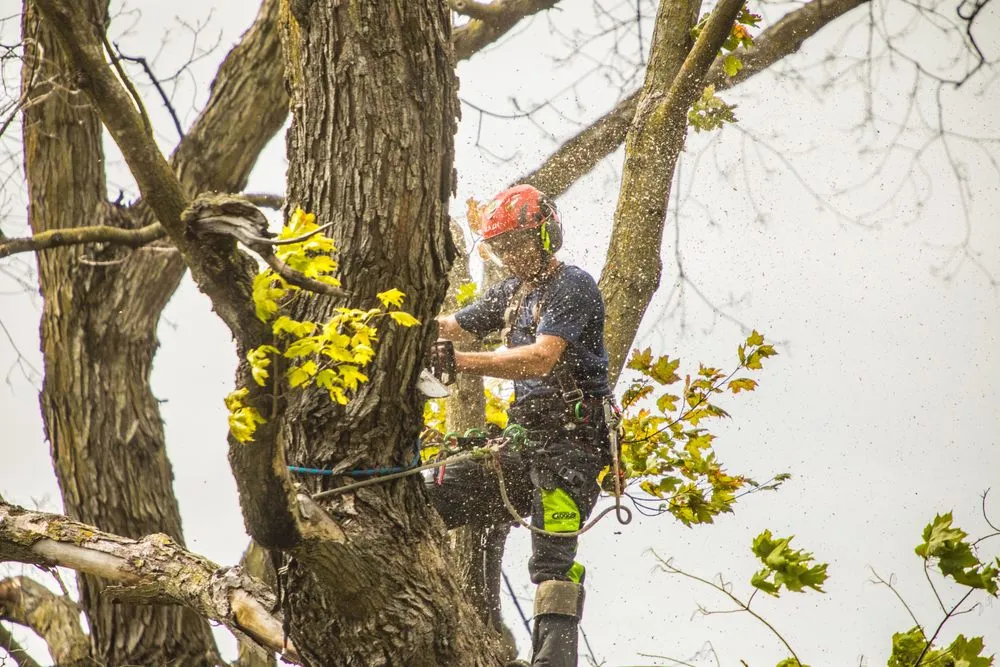 Custom lawn mowing service experts serving Woodbury, MN - Warner's Outdoor Solutions