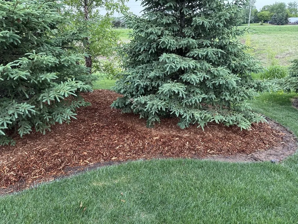 Top-rated landscape design near you in Woodbury, MN by Warner's Outdoor Solutions