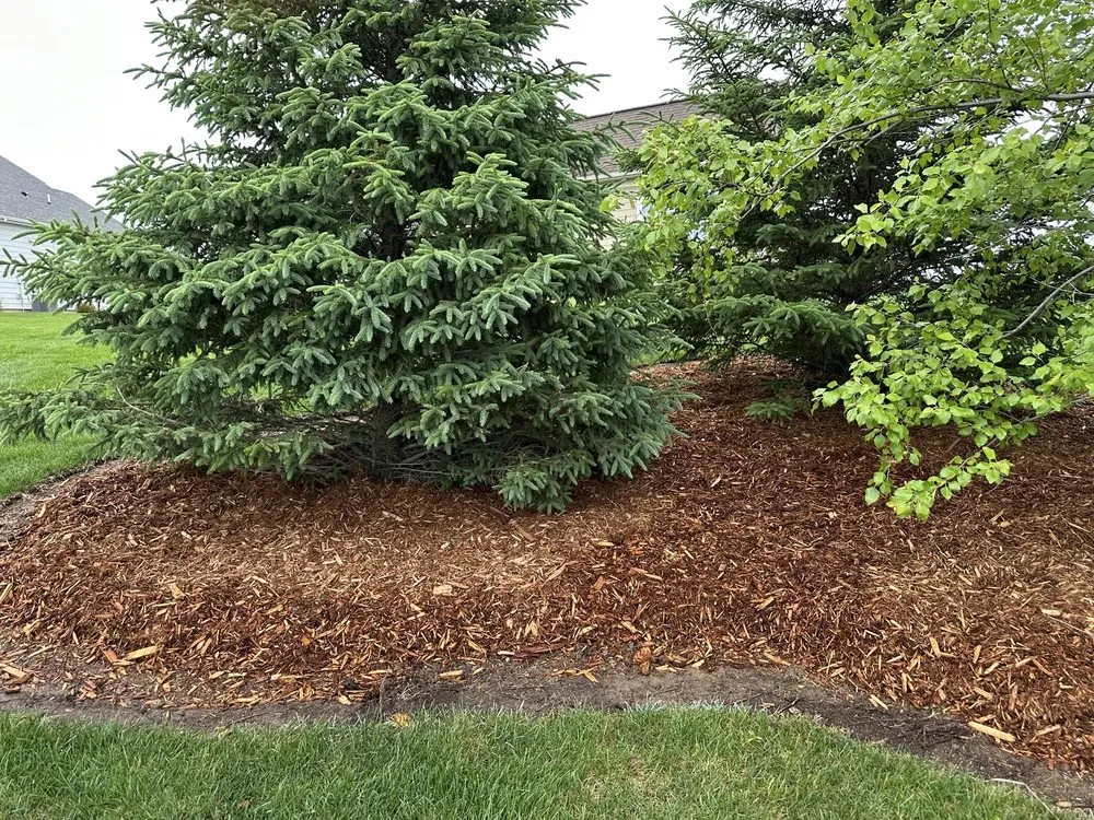 Reliable landscaping services for year-round maintenance across Woodbury, MN - Warner's Outdoor Solutions