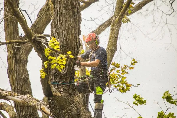 Warner's Outdoor Solutions