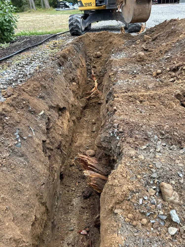 Custom lawn care service experts serving Olympia, WA - Warr Construction