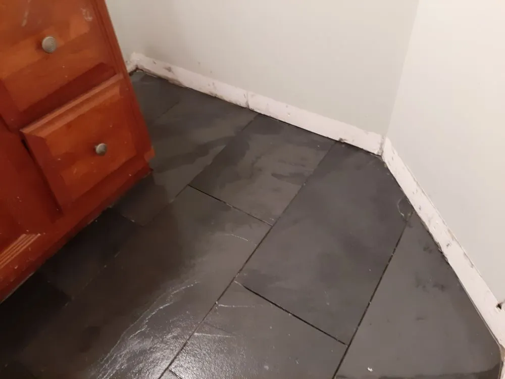 Affordable lawn mowing service for residential properties in Gorham, ME by Warren B Landscaping & Construction