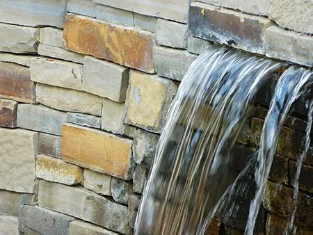 Affordable landscape design in Mill Valley, CA by Warren Design Landscaping