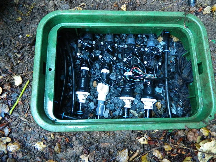 Reliable residential landscaping experts serving Mill Valley, CA - Warren Design Landscaping