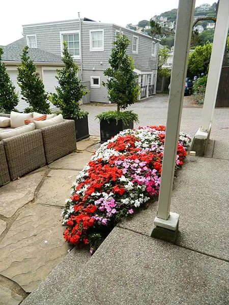 Local lawn care service in Mill Valley, CA - Warren Design Landscaping