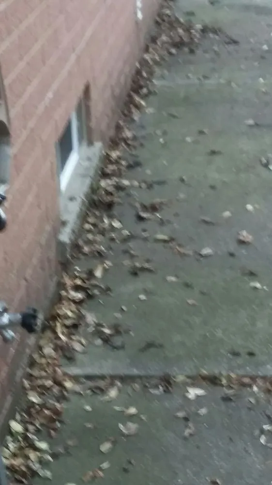 Professional garden landscaping for outdoor upgrades across Warren, MI - Warren Landscaping