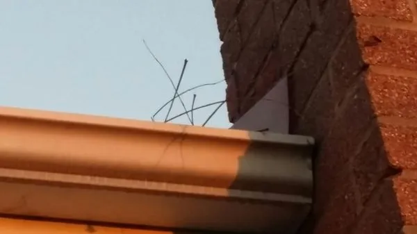 Warren Landscaping Logo