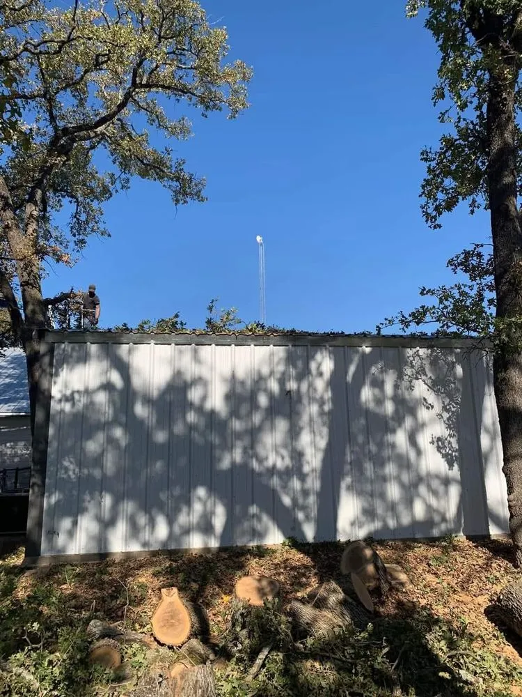 Affordable landscape installation for homes across Lacy-Lakeview, TX - Warren Lawn & Tree Service