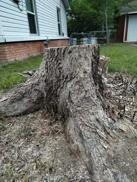 Trusted yard maintenance in Lacy-Lakeview, TX by Warren Lawn & Tree Service