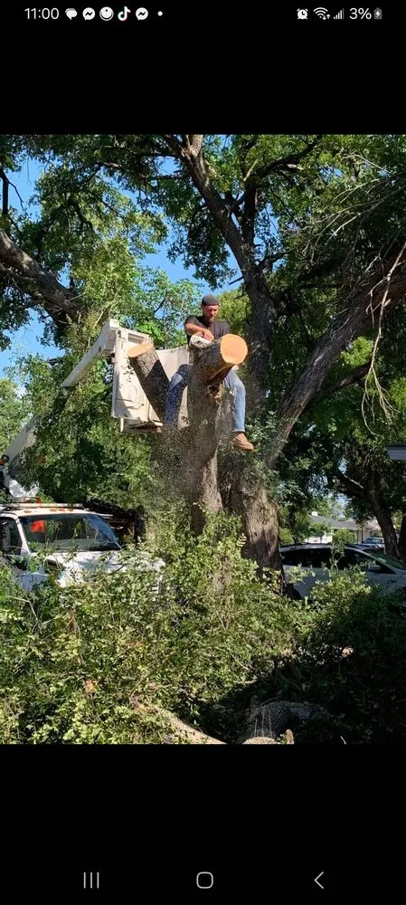 Affordable lawn mowing service experts serving Lacy-Lakeview, TX - Warren Lawn & Tree Service