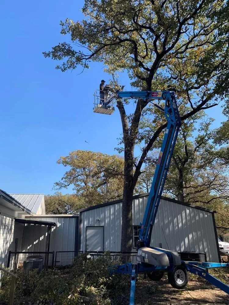 Expert garden landscaping with custom design in Lacy-Lakeview, TX by Warren Lawn & Tree Service