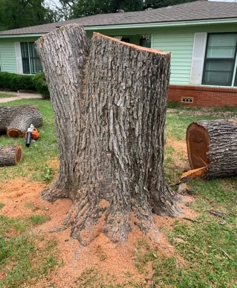 Affordable yard maintenance for year-round maintenance in Lacy-Lakeview, TX by Warren Lawn & Tree Service