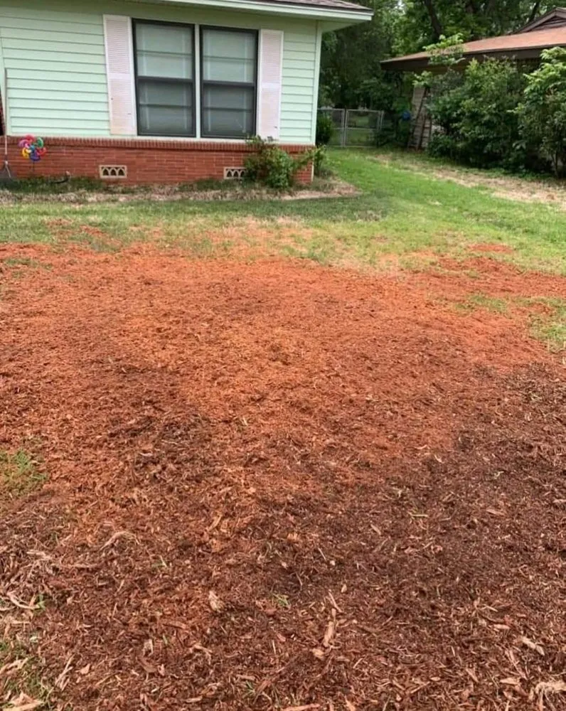 Affordable lawn mowing service in Lacy-Lakeview, TX - Warren Lawn & Tree Service